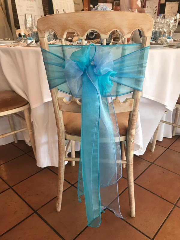 Blue Organza Bows
