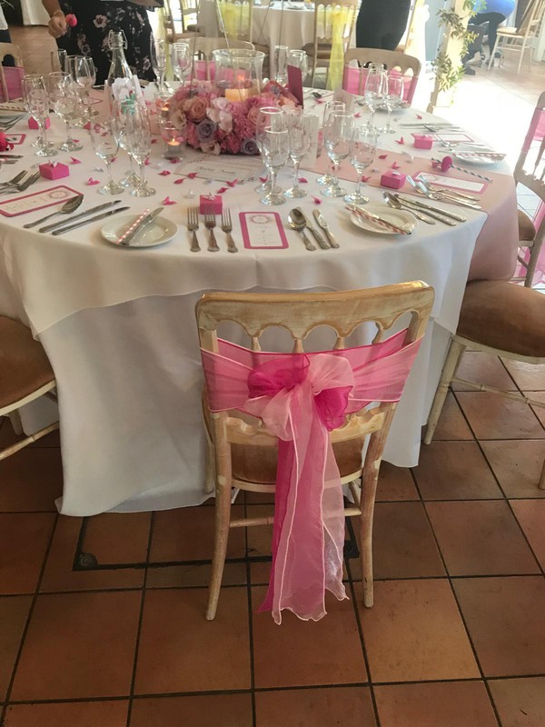 Organza Bows