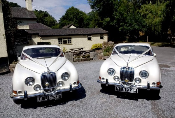 Wedding Car Business