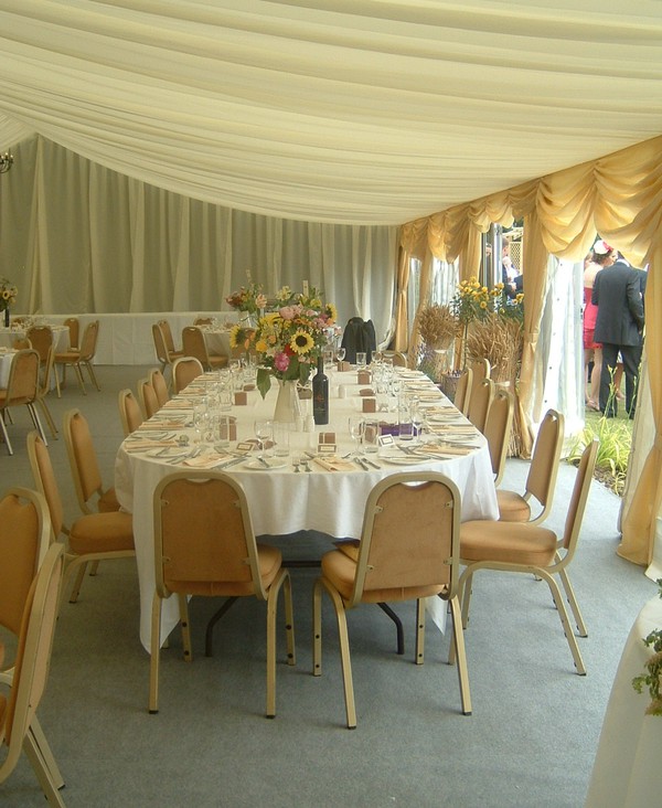 Secondhand Used 240x Gold Banquet Chairs For Sale