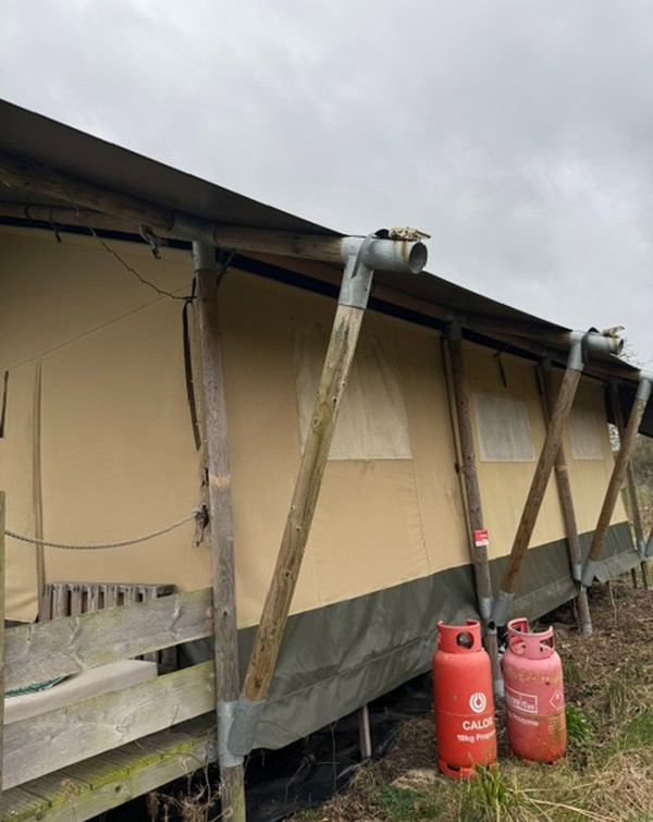 3x 9.5m x 5m Safari Tents