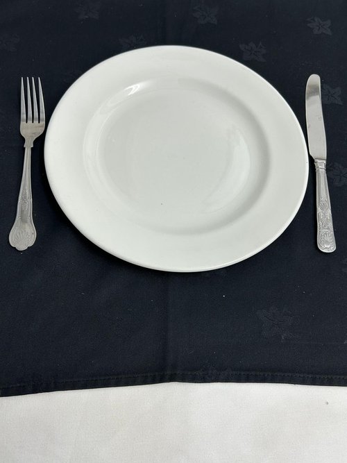 11 Inch Dinner plate