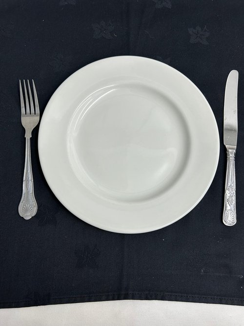10 Inch dinner plate for sale