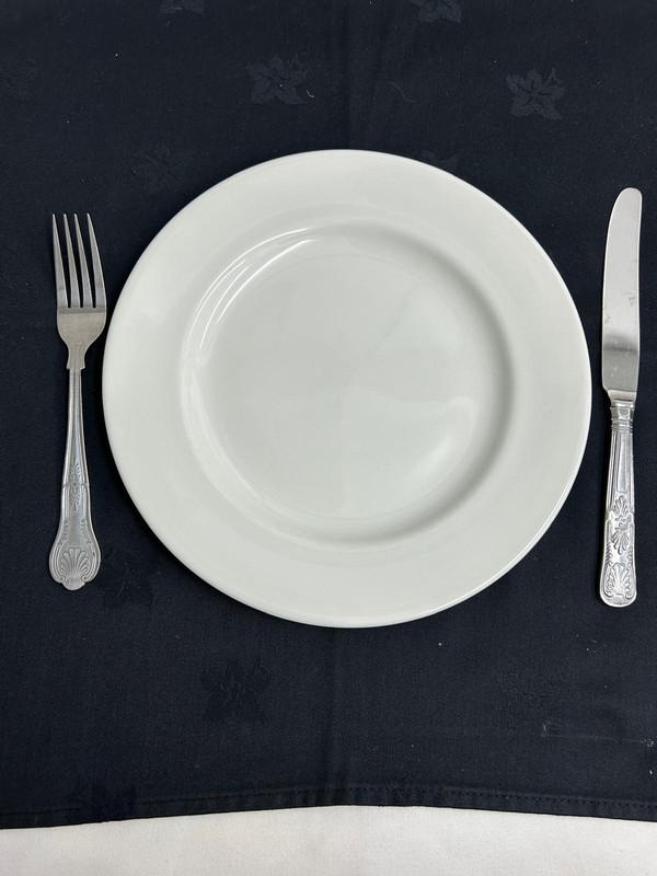 10 Inch dinner plate for sale