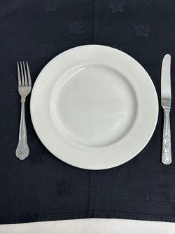 9" Dinner plates for sale (Churchill)