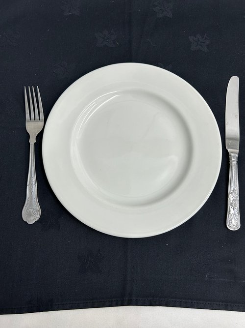 9" Dinner plates for sale (Churchill)