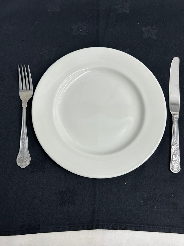 9" Dinner plates for sale (Churchill)