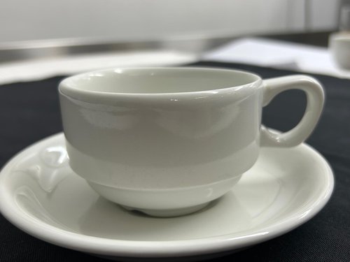 Churchill Ware Tea Cup & Saucer