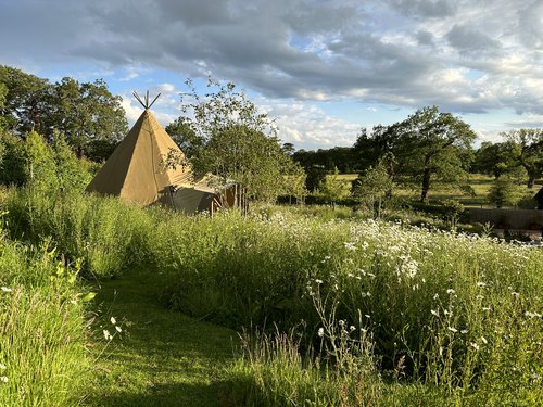 Tentipi Cirrus 40