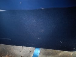Navy flag sofa