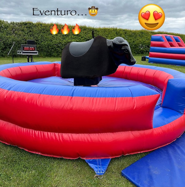 RS Rodeo Bull for sale