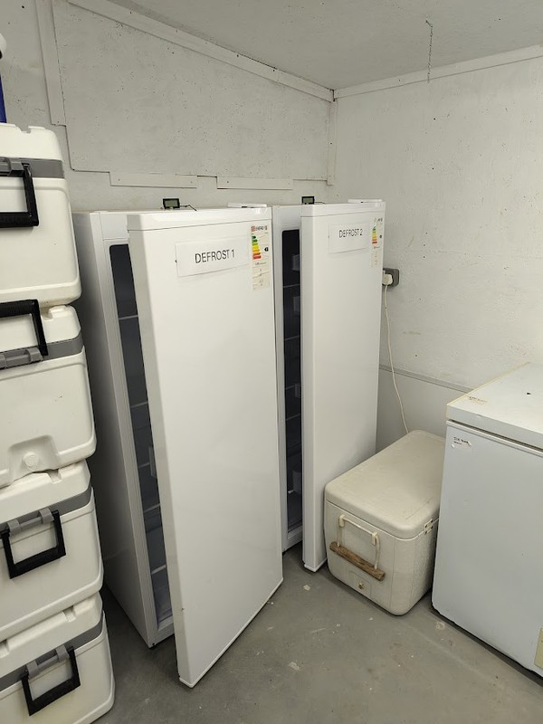 Tall freezer for sale