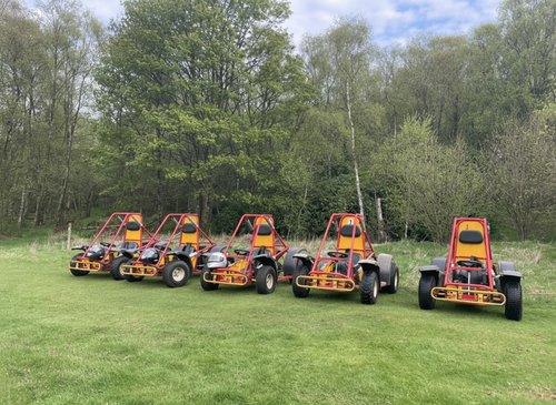 Off road karts for sale