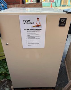 Electrolux Propane And Electric Fridge