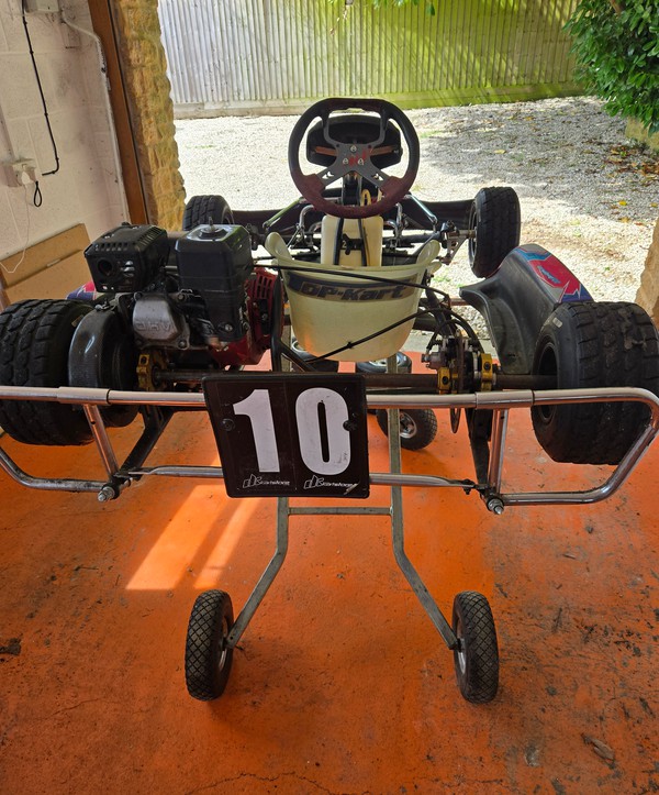 Used Zip Cadet Kart