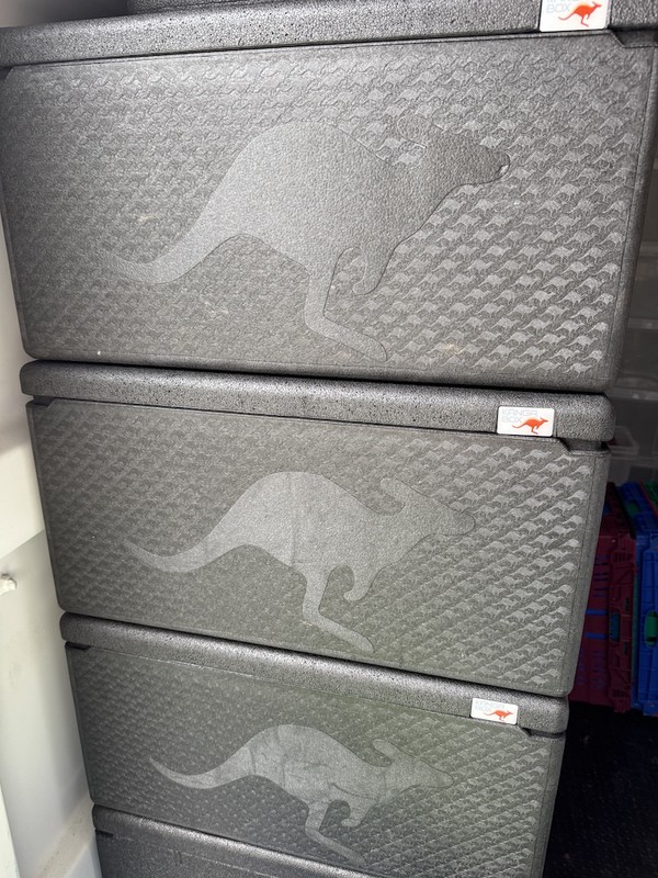 Kanga Boxes Kanga Boxes