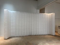 Inflatable room divider for sale