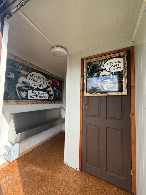 Toilet Cabin Interior