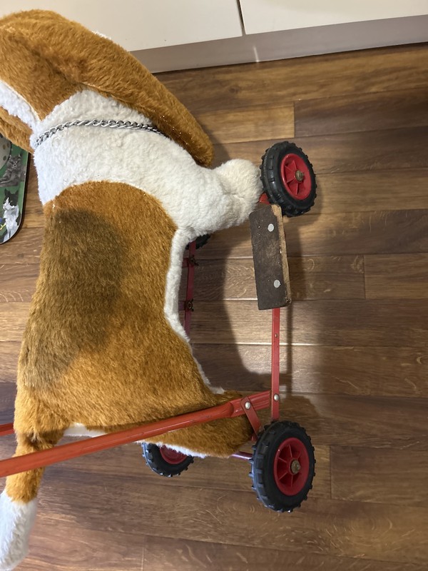Dog Toddler toy