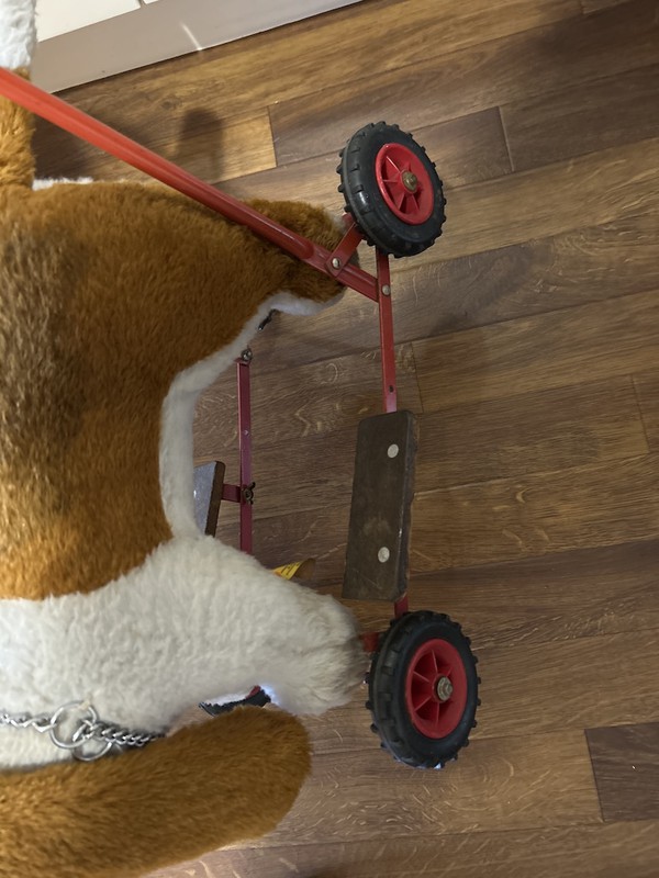 Retro Dog walker toy