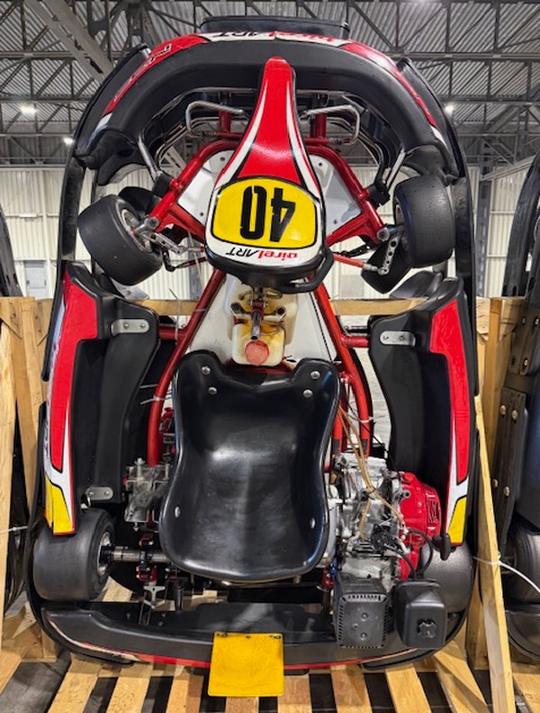 Fleet Of Birel Karts For Sale Fleet Of Birel Karts For Sale