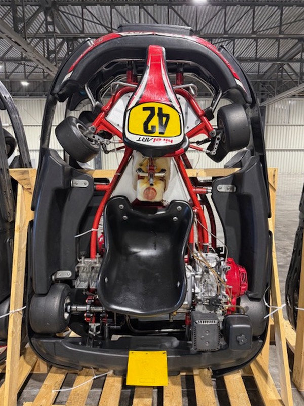 Used 10x Birel N35 GX270 Karts Used 10x Birel N35 GX270 Karts