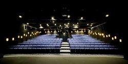 186x Theatre Chairs For Sale