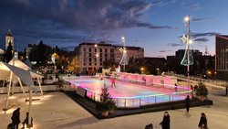 City centre ice rink business for sale