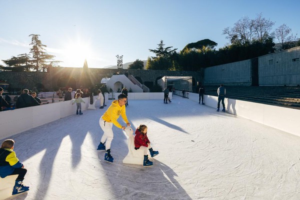Christmas / winter ice rink for sale Christmas / winter ice rink for sale