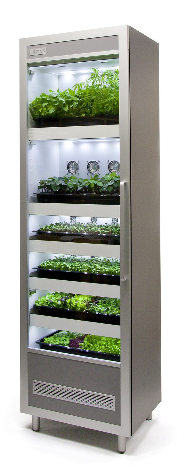 Growing cabinet for mico greens and herbs Growing cabinet for mico greens and herbs
