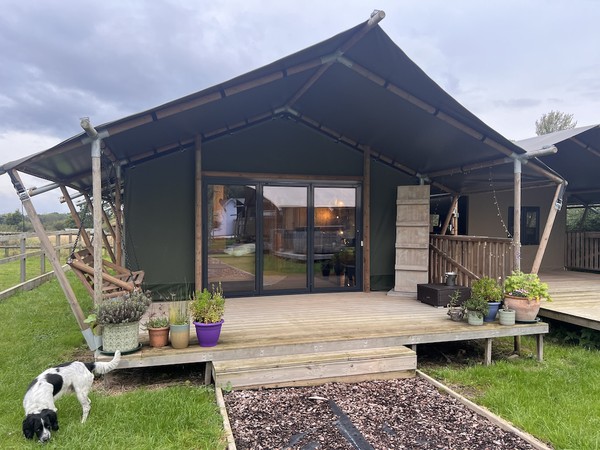 Safari Tent for sale Safari Tent for sale