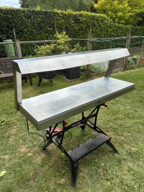 Lincat LD4 gantry for sale