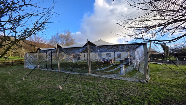 Stretch tent window walls for sale