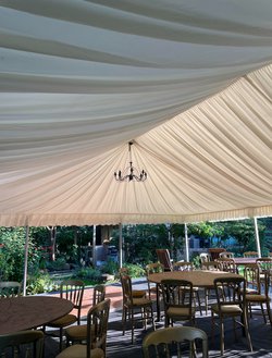 6m Champagne Linings For Sale