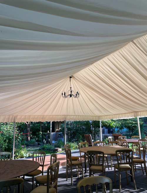 6m Champagne Linings For Sale