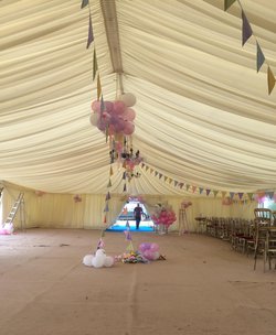 12m Champagne Linings For Sale