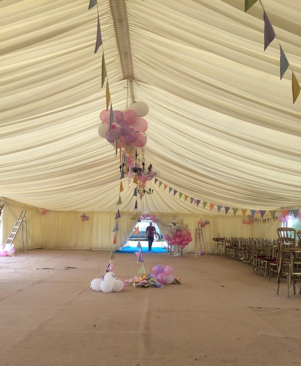 12m Champagne Linings For Sale
