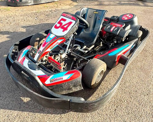 Fleet of secondand cadet karts