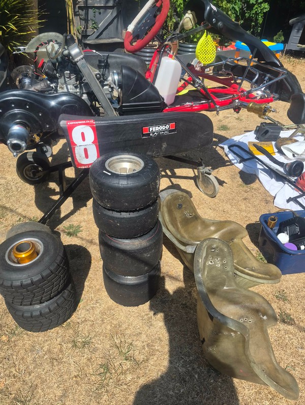 09 TWS Rotax Max Kart