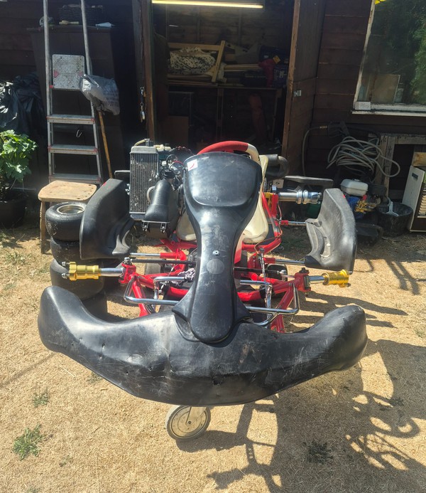 09 TWS Rotax Max Kart For Sale