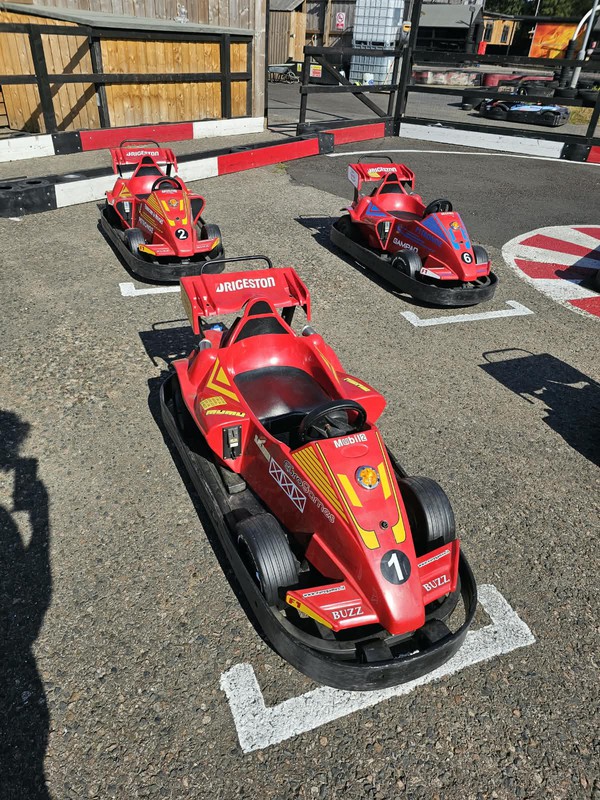 Kids  F1 Electric Fun Karts
