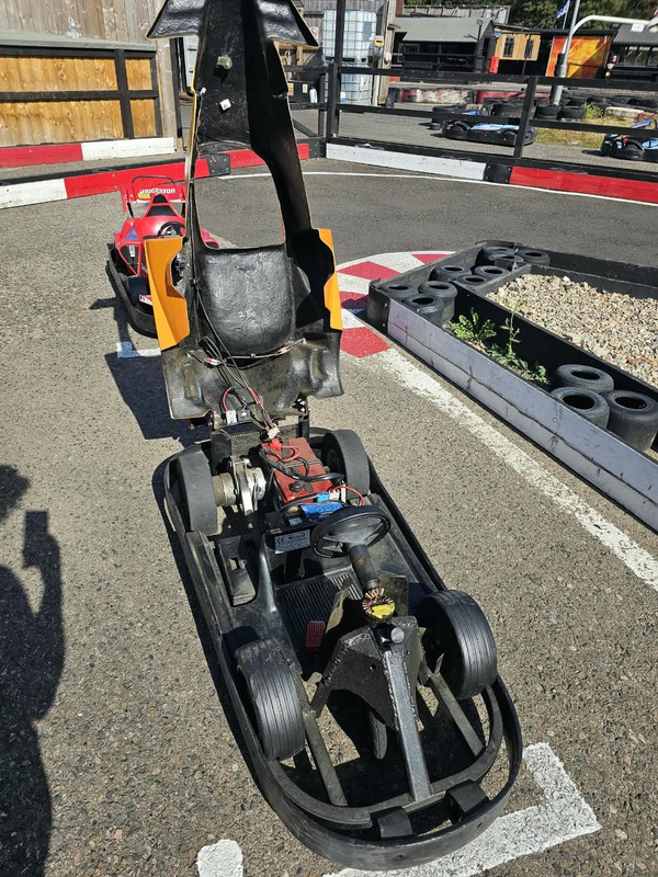 World of Rides Parent & Child F1 Electric Fun Karts