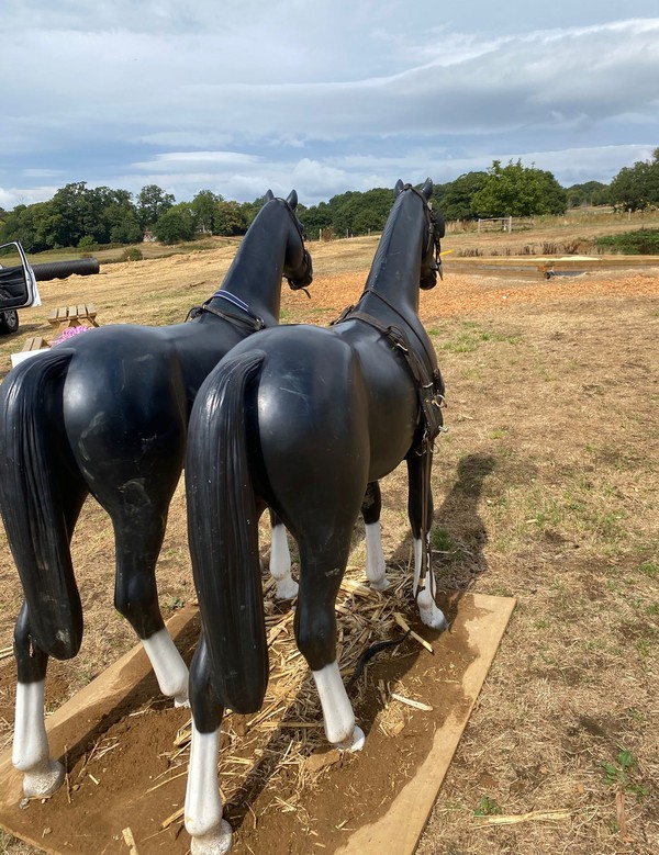 Second Hand Western Wagon and Horses