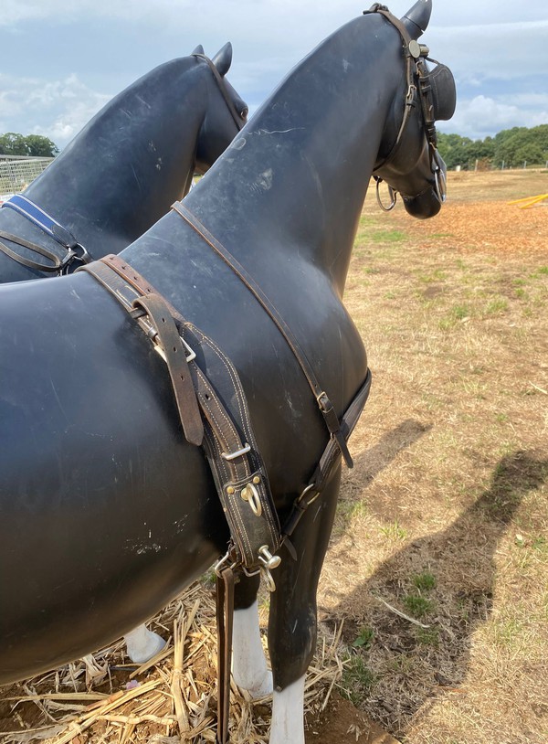 Used Western Wagon and Horses
