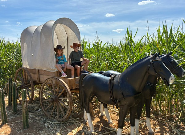 Western Wagon and Horses
