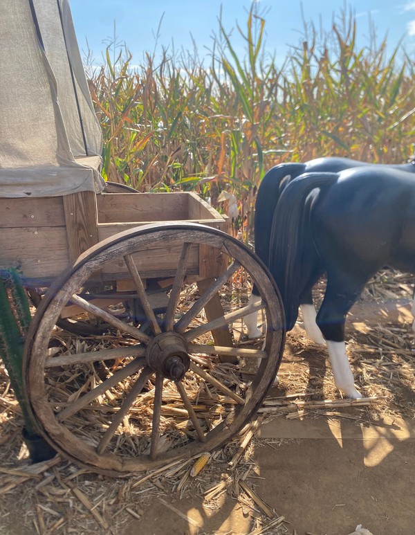 Western Wagon and Horses For Sale
