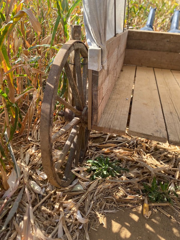 Wild West Wagon Prop For Sale