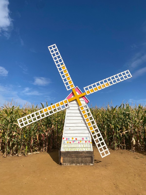 Second Hand 8ft Wooden Windmill Second Hand 8ft Wooden Windmill