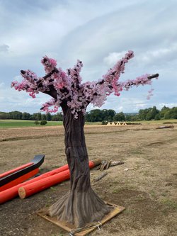 3m Cherry Blossom Tree For Sale