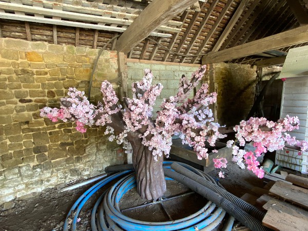 Used 3m Cherry Blossom Tree